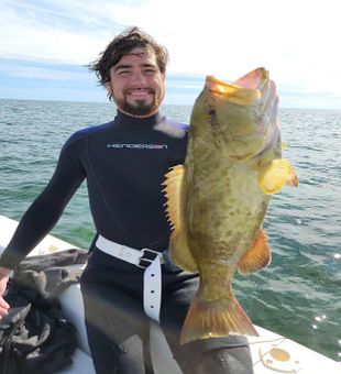 Grouper caught in Crystal River's clear waters.